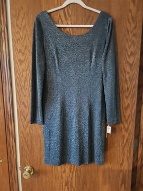 NWT/ Santa Fe Dress